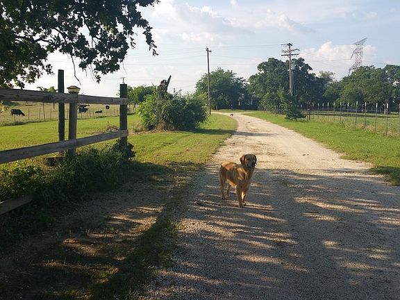 5th image of 5721 County Road 707