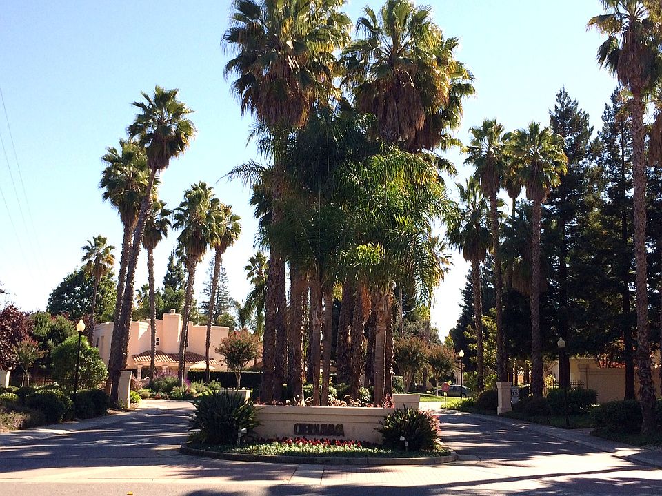 Cuernavaca Community