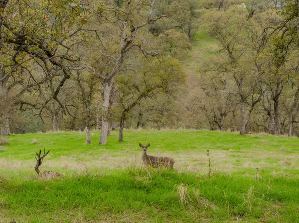 8719 Sparrowk Rd, Valley Springs, CA 95252