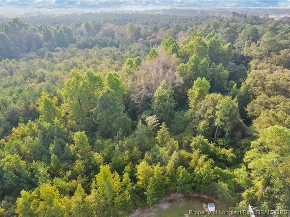 100 Tom Cat Ln, Roseboro, NC 28382