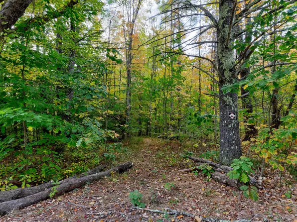 45-28 Fairview Avenue, Gray, ME 04039