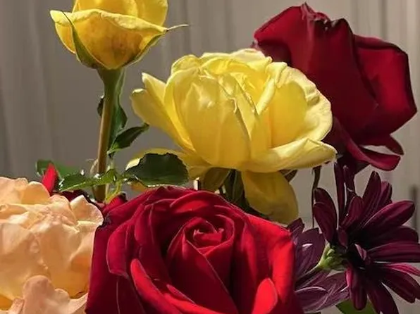 431 Dela Vina Ave, Monterey, CA 93940