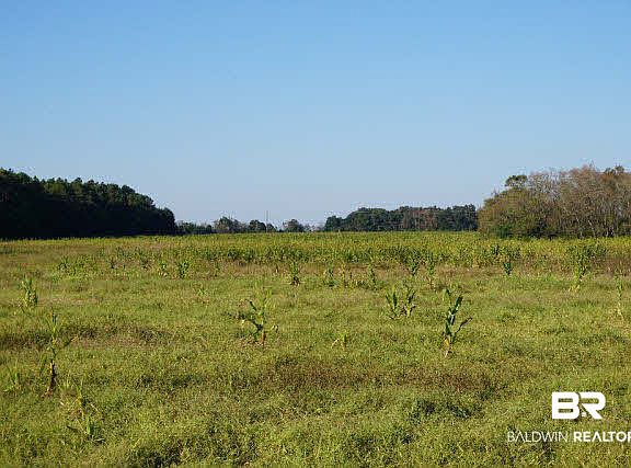 4th image of 0 Highway 98