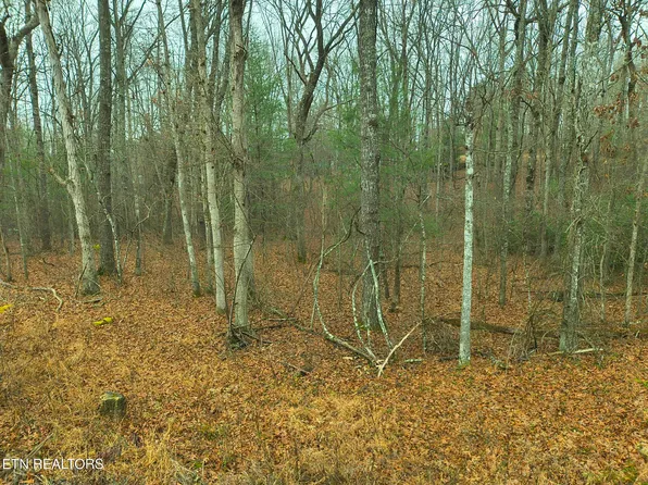 526 & 528 Tsala Dr, Crossville, TN 38572