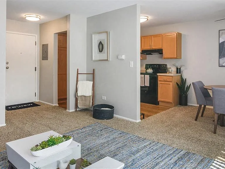 ReNew Aurora — Photo 9