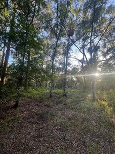 Pinon Dr Lot 5, Webster, FL, 33597