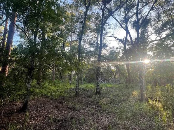 Pinon Dr Lot 5, Webster, FL 33597