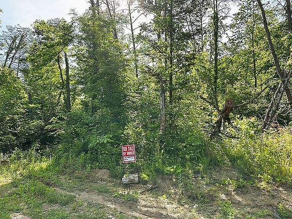 Property roadside view. 