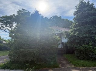 407 Sheridan Ave, Niles, OH 44446