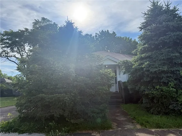 407 Sheridan Ave, Niles, OH 44446