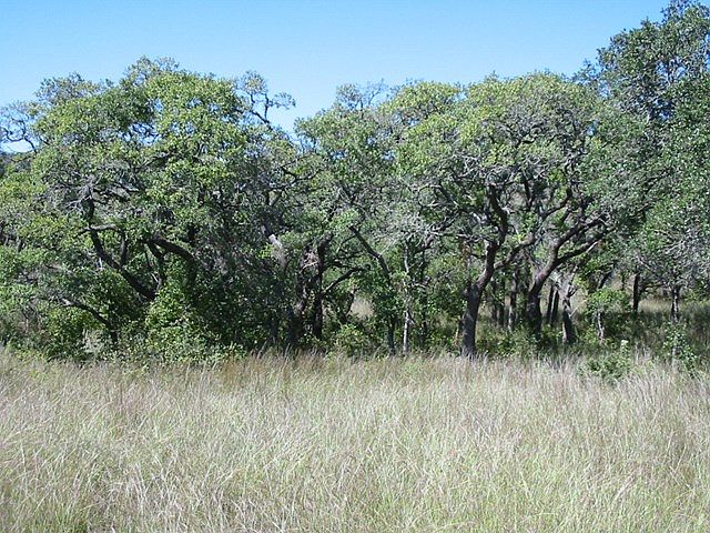 1st image of 3579 N Us Highway 281