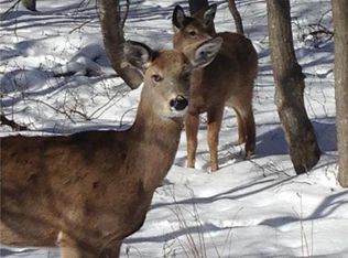 6003 Scenic Dr, Albrightsville, PA 18210