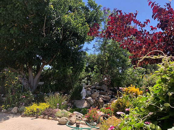 View from ADU entrance