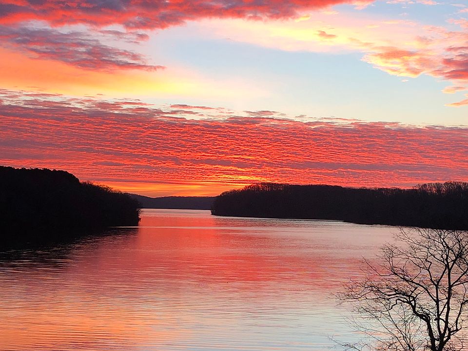 Taken off my deck. 