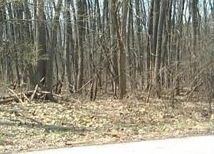 1st image of 2 Country Oaks Dr