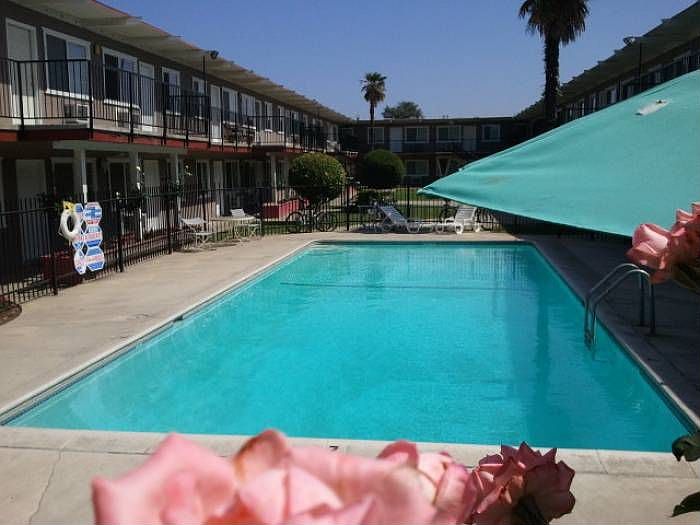 Pool view 1