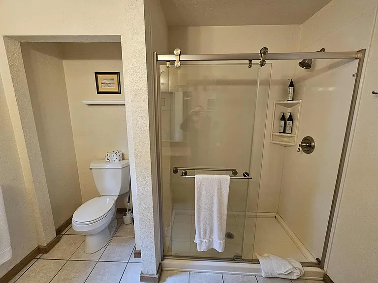 Master Bathroom shower