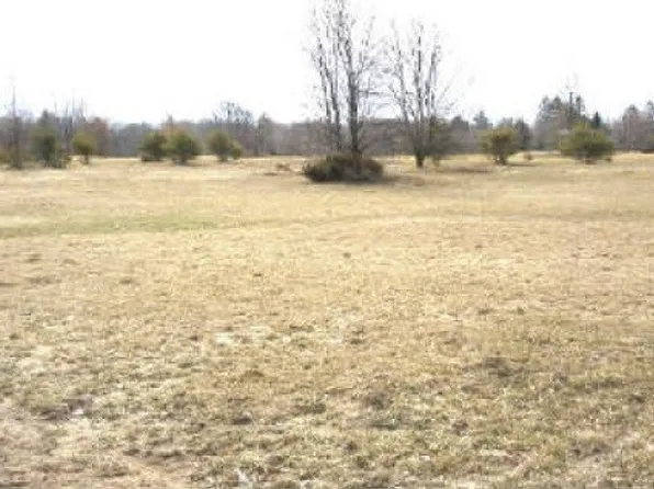 7 Tamarack Rdg, Harrison, MI 48625