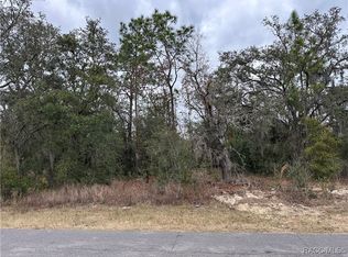 3027 E Dawson Dr, Inverness, FL 34453