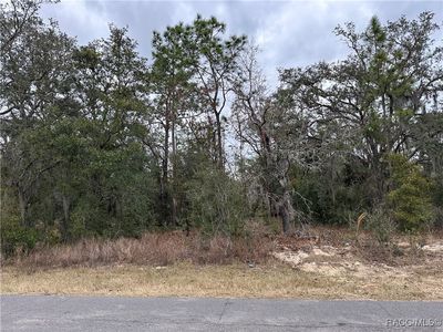3027 E Dawson Dr, Inverness, FL, 34453