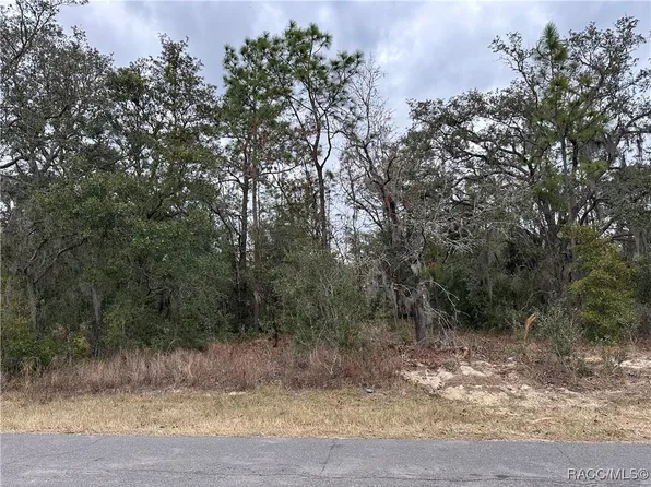 3027 E Dawson Dr, Inverness, FL 34453