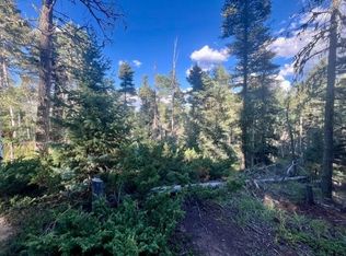 1465 Peralta Dr, Angel Fire, NM 87710
