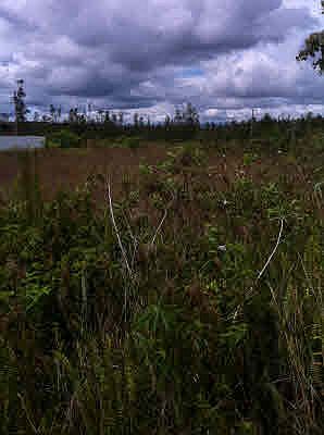1st image of Silversword Ct Lot 6-14