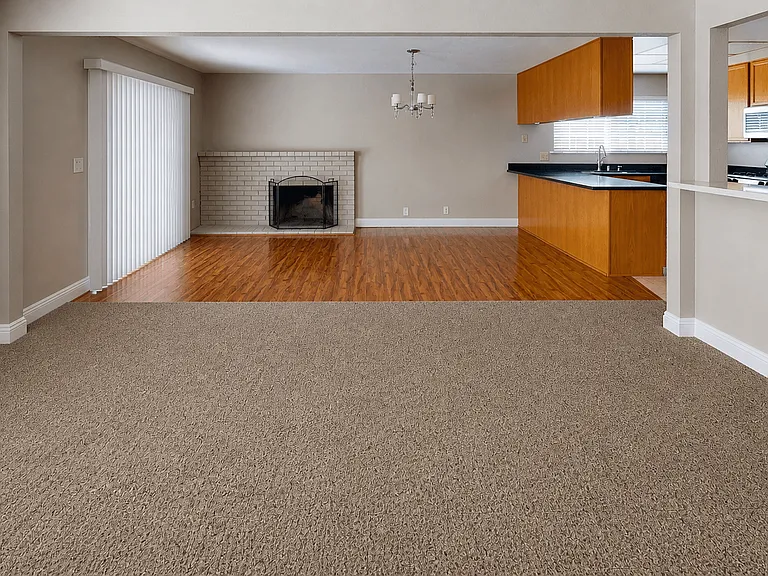 451 Springvalley Dr — Photo 6