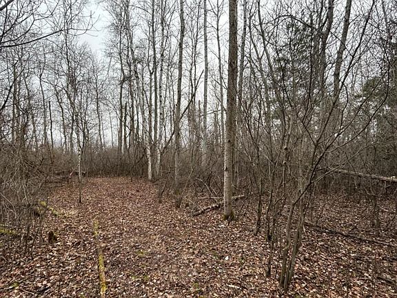 3rd image of Cedar St