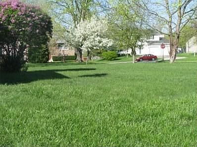 2nd image of 5851 Mount Royal Dr