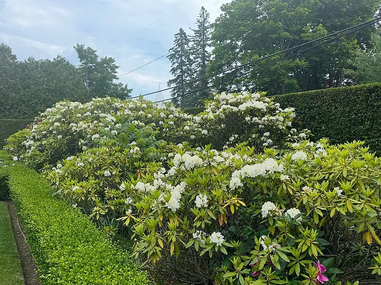 38 Halsey Ln — Photo 25