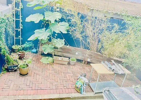 Rented by Owner | media 10