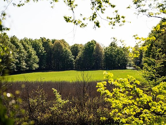 8th image of this home