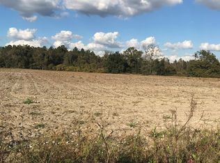 351 Rodgers Ln, Dixie, GA 31629