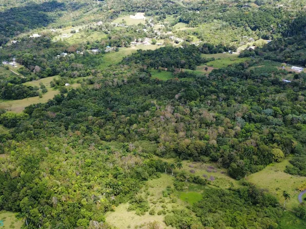 X Carr 4446 Cam Trujillo Bo Saltos #1, San Sebastian, PR 00685