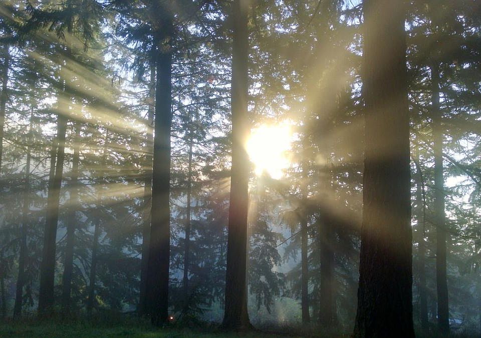 Nearby Mt Tabor Park