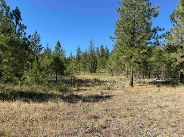 0 Road, Davenport, WA 99122