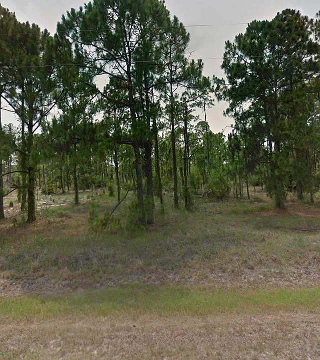 1st image of 470 N Cabbage Palm Street