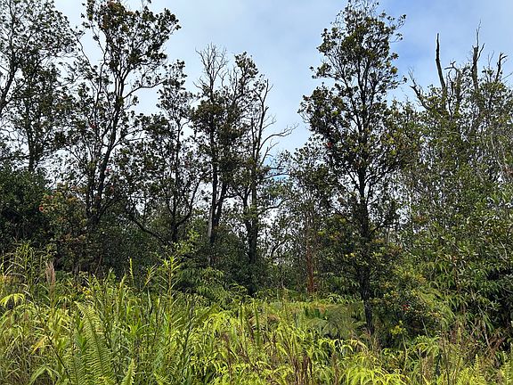 5th image of 11-2496 Makoa Rd Lot 65