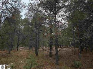 0 Porter Trl, Grayling, MI 49738