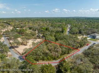 LOT 1 Dolquieb Ln, Brooksville, FL 34614