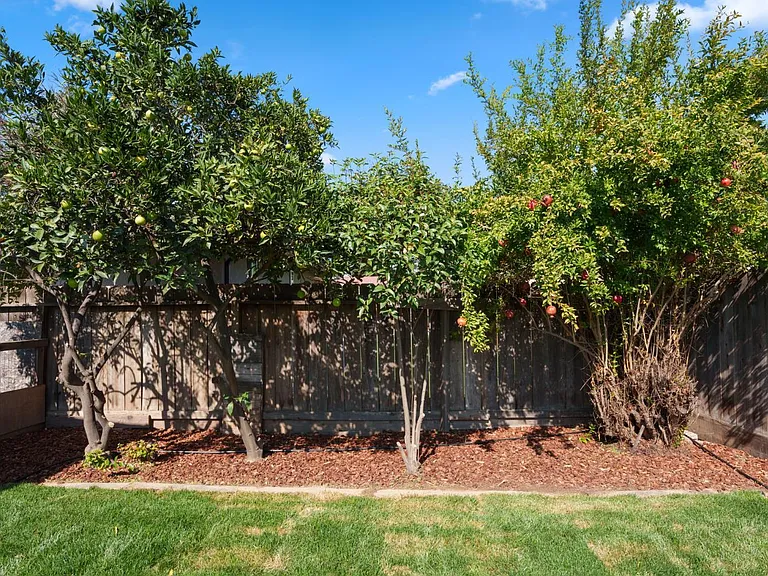 6804 N Backer Ave — Photo 5