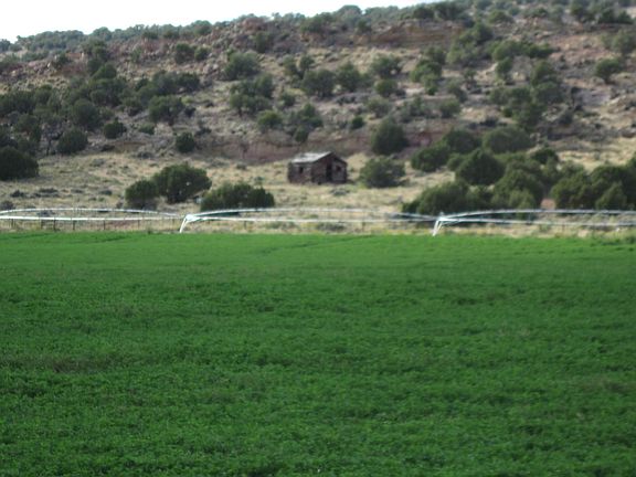 5th image of 162 Acres North Of Highway 43