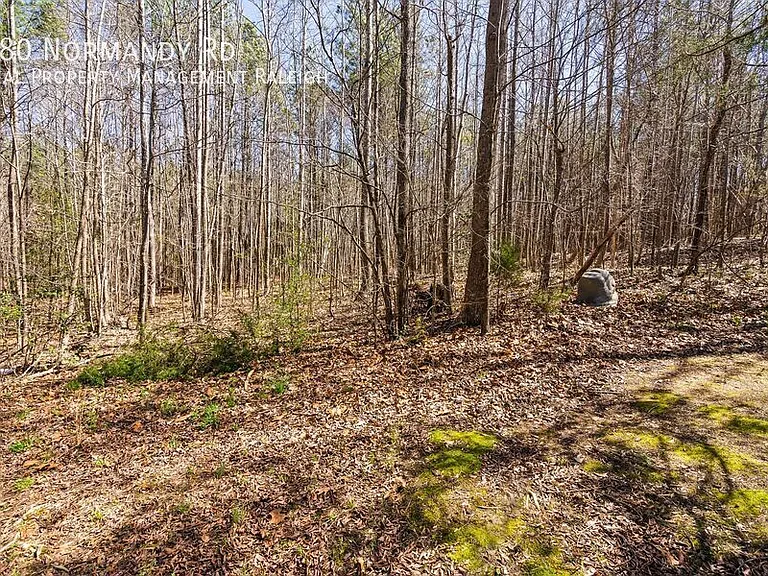 180 Normandy Rd — Photo 31