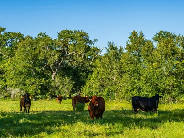 19329 County Road 319, Brazoria, TX 77422