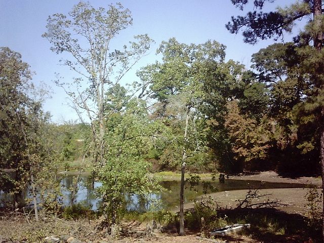 View from living room window