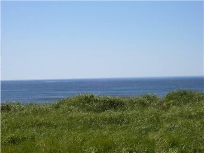 1st image of 1307 Ocean Shores Blvd #N22