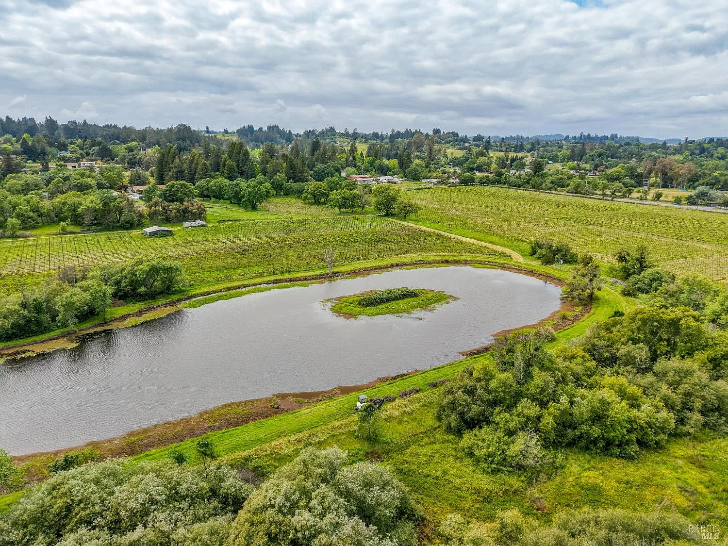 9700 Mill Station Road - Photo 5