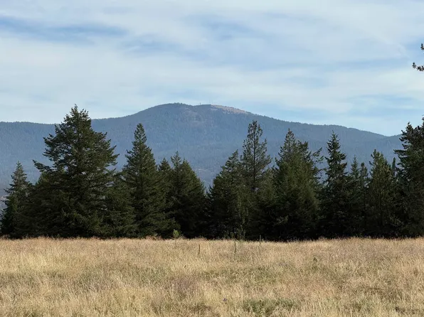 25054 N Orchard Bluff Rd, Chattaroy, WA 99003