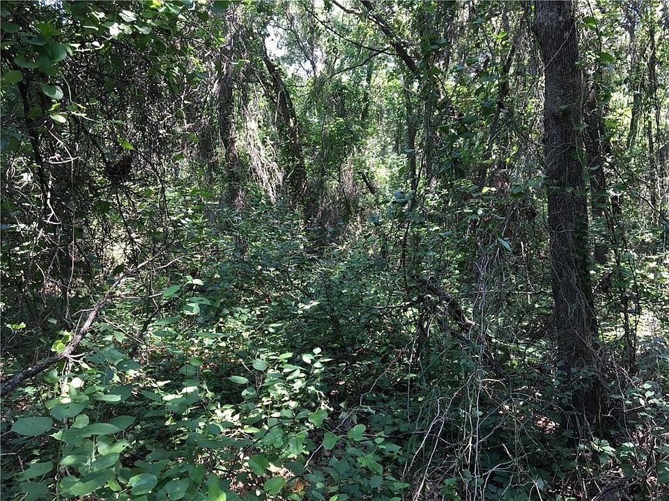 2nd image of 3401 Roys Ln